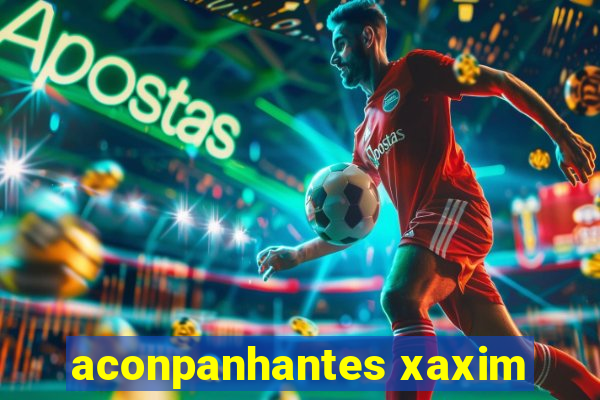 aconpanhantes xaxim